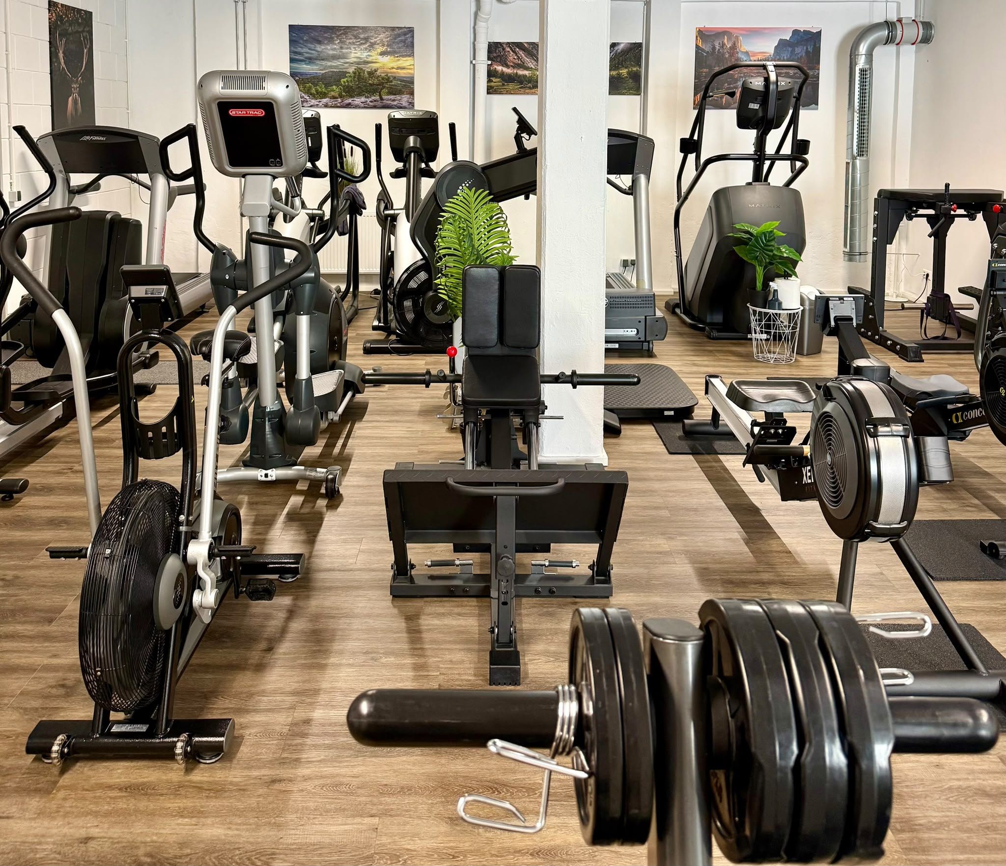Cardio-Bereich im Studio
